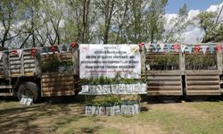 Kadın kooperatifine 1500 fidan desteği