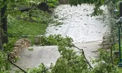 Kasırga ve fırtına nedeniyle en az 21 kişi hayatını kaybetti
