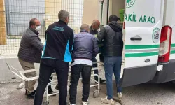 2 çocuk annesi kene yüzünden hayatını kaybetti