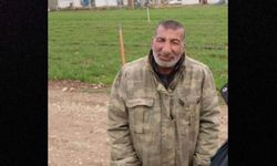 Koyun otlatırken otomobil çarptı, hayatını kaybetti
