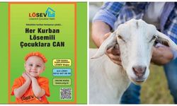 Kurban bağışı nereye yapılır?
