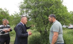Muğla Büyükşehir, zirai don mağduru üreticiye umut oldu