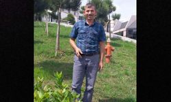 Orman temizliği sırasında traktörün altında kalan işçi hayatını kaybetti