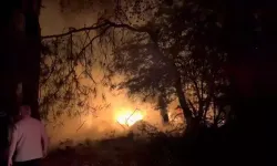 Isınmak için ormanda yaktığı ateş ağaçlara sıçradı