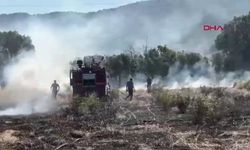 Ot yangını 5 dönüm alanı küle çevirdi
