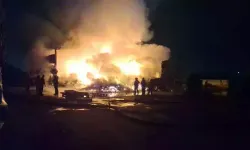 Palet fabrikasında yangın çıktı
