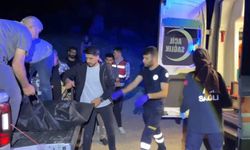 Pancar toplarken feci şekilde can verdi: Yaylada acı son!