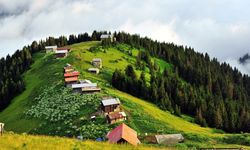 KPSS Lisans 2026 yayla sorusu ve cevabı nedir?