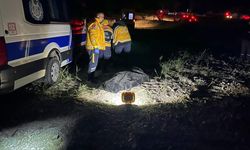 Serinlemek için göle giren kişinin cansız bedeni çıktı