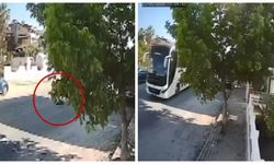 Sokakta yatak köpeği ezip yoluna devam etti