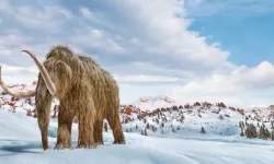 Son mamut ne zaman öldü?
