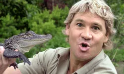 Steve Irwin kimdir? Steve Irwin olayı ne?