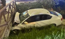 2 otomobil çarpıştı, 1'i su kanalına düştü