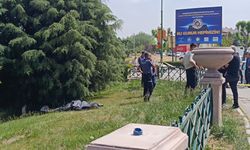 Şüpheli ölüm! Çayda erkek cesedi bulundu