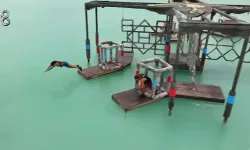 Survivor 2. eleme adayı kim oldu dokunulmazlığı kim kazandı 17 Mayıs 2025?
