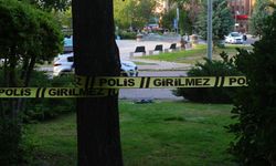 TBMM önünde silah sesleri: : Havaya 3 el ateş açan şahıs gözaltına alındı