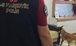 Zehir tacirlerine büyük darbe: Baba ve 3 oğlu tutuklandı!