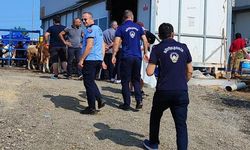 İzmir Büyükşehir Zabıtası bayramda sahada: 400 personelle sıkı denetim
