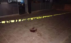 24 yaşındaki kadın 3. kattan atladı