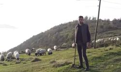 39 yaşındaki çoban kene ısırması nedeniyle hayatını kaybetti