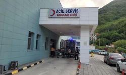 Akrep d*hşeti: Bahçede örtü sererken canından oluyordu…