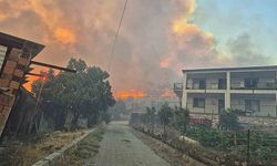 Aliağada'ki orman yangını ile ilgili yeni gelişme: Şüpheli tutuklandı!