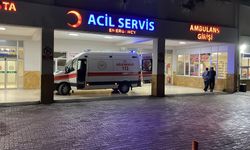 Arazi kavgası kanlı bitti: Bir kardeş öldü, iki kişi yaralandı!