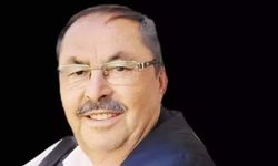 Arıların soktuğu eski muhtar hayatını kaybetti
