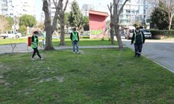 Bayraklı Belediyesi haşereye karşı tüm mahallelerde sahada