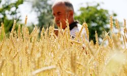 ‘Üretim azalır ekmek zamlanır’