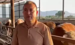 Danadan gelen feci saldırı: İş insanı 3 günlük yaşam mücadelesini kaybetti!