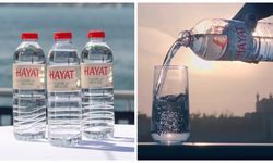 Hayat su hangi ülkenin? Hayat suyu kim aldı?