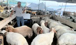 Kurban pazarında üretici maliyetten, müşteri alım gücünün düşmesinden dertli