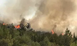 Karaburun'da yangına müdahale sürüyor