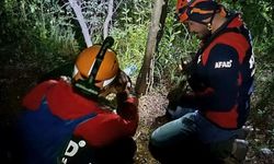 Kayıp olarak aranıyordu: Ormanlık alanda ölü bulundu!