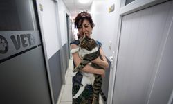 Kedi Mars, kök hücreyle hayata tutundu