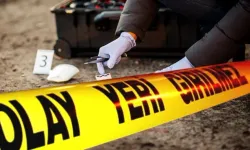 Komşu kavgası kana bulandı: Tarlaya giren koyunlar can aldı, 6 yaralı!