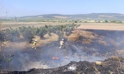 Manisa'da 24 saatte 150 yangına müdahale edildi