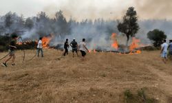 Muğla'da anız yangınlarına karşı alarm: 6 ayda 380 müdahale