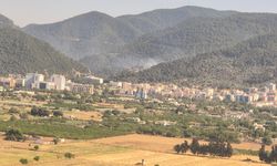 Narlıdere'de orman yangını! Ekipler müdahale ediyor