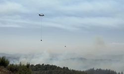 Orman yangını korkuttu: Havadan ve karadan müdahale ile kontrol altına alındı, 6 kişi gözaltında