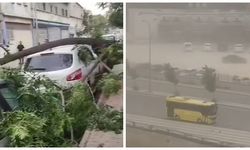 Şiddetli fırtına hayatı felç etti: Ağaçlar devrildi, araçlar zarar gördü