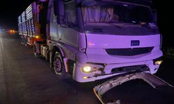 TIR otomobile çarptı: 3’ü çocuk 4 yaralı