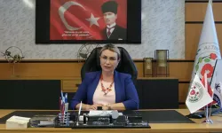 Yasemin Fazlaca CHP'den istifa etti: Onurlu mücadelem sonlandı!