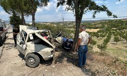 Ağaca çarpan otomobilde 1 kişi hayatını kaybetti