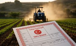 Tapu sahipleri bu habere dikkat! Bakanlık izin almadan kiraya verecek