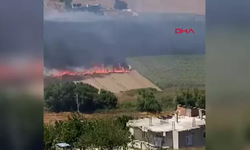 Buğday tarlasında yangın çıktı: Ekipler müdahale ediyor