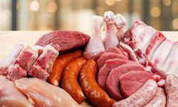 Carnivore diyeti kalp ve böbrek sağlığını tehdit ediyor