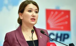 CHP komisyon üyesi Gökçe Gökçen kimdir?