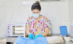 Didim Belediyesi'nden can dostlar için ücretsiz kısırlaştırma hizmeti